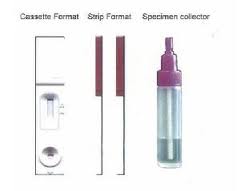 Fecal Occult Blood Test