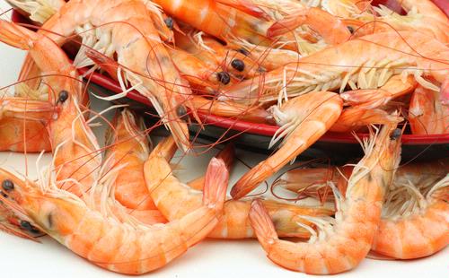 udang