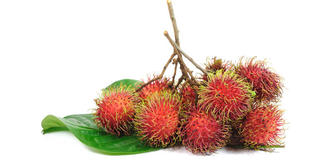 rambutan