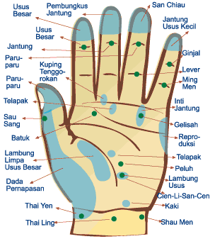 Meridian syaraf tangan